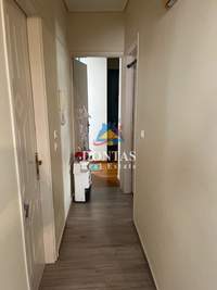 Image 6 of 15