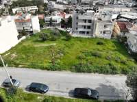 תמונת אלימוס למכירה (2)