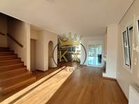 תמונת דופלקס, דיוניסוס למכירה (4)