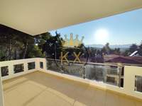 תמונת דופלקס, דיוניסוס למכירה (1)