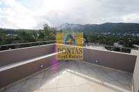 תמונת דופלקס, דיוניסוס למכירה (1)