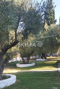 Image 7 of 18