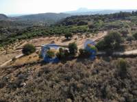 תמונת מגרש, אפוקורנס, כרתים למכירה (4)