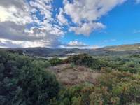 Image 7 of 8