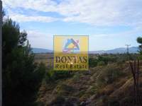 תמונת מגרש, מרתון למכירה (3)