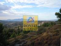 תמונת מגרש, מרתון למכירה (4)