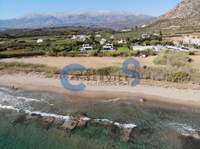 תמונת מגרש, סודה, חאניה למכירה (3)