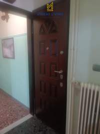 Image 8 of 20