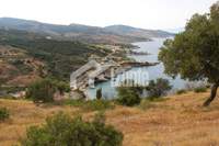 תמונת אומוניה, אתונה למכירה