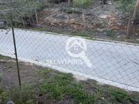 תמונת מגרש, ראפינה - פיקרמי, אתונה למכירה (4)