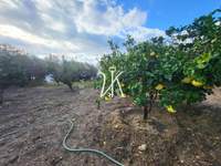 תמונת מגרש, רודוס למכירה (3)