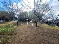 תמונת מגרש, רודוס למכירה (2)