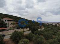 תמונת מגרש, אפוקורנס למכירה (2)