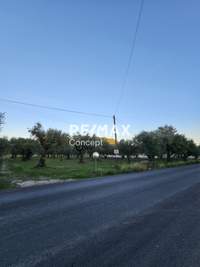 Image 7 of 14