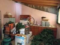 תמונת דופלקס, דיוניסוס למכירה (4)