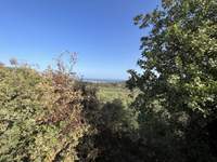 תמונת מגרש, פלטניאס למכירה (2)