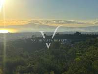 תמונת קאלמטה, פלופונס למכירה (2)