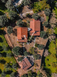 תמונת פילוס ונסטור, פלופונס למכירה