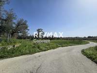 תמונת מגרש, זקינתוס למכירה (4)