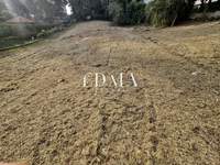 תמונת מגרש, פאיליה - חורטיאטיס למכירה (3)