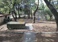 תמונת מליסייה למכירה (2)