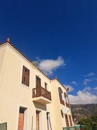 תמונת אנדרוס למכירה (4)