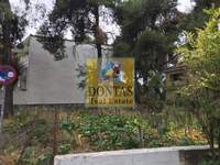 תמונת מגרש, דיוניסוס למכירה (2)