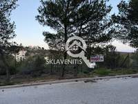 תמונת מגרש, ראפינה - פיקרמי למכירה (4)