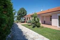 תמונת תרמיקוס, סלוניקי למכירה