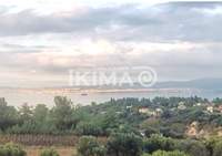 Image 15 of 19