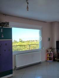 Image 11 of 19