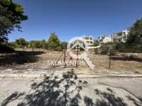 תמונת ראפינה - פיקרמי, אתונה למכירה