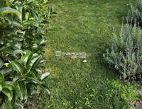 תמונת בית, קיפיסיה, אתונה למכירה (3)