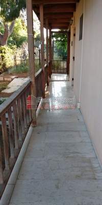 תמונת טנאגרה למכירה (2)