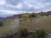 תמונת בית, דיוניסוס למכירה (1)