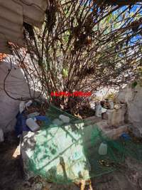 תמונת בית פרטי, ניקיה למכירה (2)