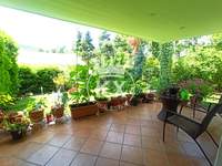 תמונת דופלקס, דיוניסוס למכירה (2)