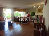 תמונת דופלקס, דיוניסוס למכירה (4)