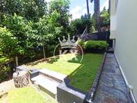 תמונת דופלקס, דיוניסוס למכירה (3)