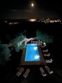 תמונת זקינתוס למכירה