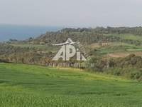 תמונת שטח חקלאי, אריסטוליס למכירה (1)