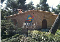 תמונת מגרש, קיפיסיה למכירה (1)