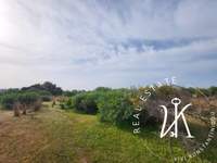 Image 6 of 13