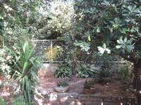 Image 17 of 25