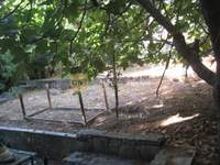Image 5 of 25