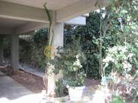 Image 16 of 25