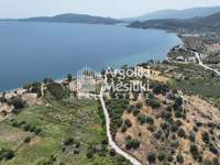 Image 10 of 25