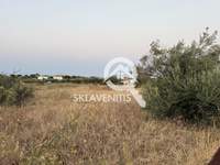 תמונת שטח חקלאי, ספטה ארטמידה, אתונה למכירה (3)