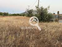 תמונת שטח חקלאי, ספטה ארטמידה, אתונה למכירה (4)