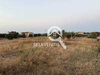 תמונת שטח חקלאי, ספטה ארטמידה, אתונה למכירה (2)